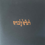 GODSPEED YOU BLACK EMPEROR – SLOW RIOT FOR NEW ZERO KANADA - LP •