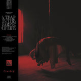 KNOCKED LOOSE – TEAR IN THE FABRIC OF LIFE (TOFFEE TORRENT VINYL) - LP •