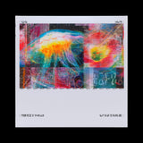 BICEP – CHROMA 000 (DELUXE EDITION) - LP •