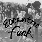 ECCENTRIC FUNK / VARIOUS – ECCENTRIC FUNK (PURPLE/PINK SPLATTER) - LP •