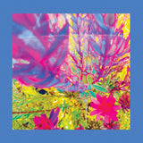 REDS PINKS & PURPLES – PAST IS A GARDEN I NEVER FED (SKY BLUE VINYL) - LP •