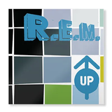 R.E.M. – UP (25TH ANNIVERSARY) (DELUXE 180 GRAM) - LP •