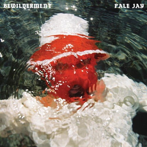PALE JAY – BEWILDERMENT - CD •