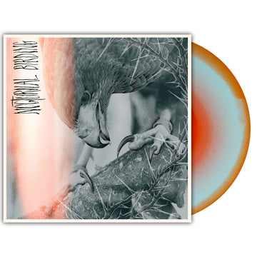 AUTHOR & PUNISHER – NOCTURNAL BIRDING (CUSTOM MERGE VINYL) - LP •