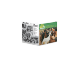 BEACH BOYS – PET SOUNDS (DEFINITIVE SOUND SERIES AUDIOPHILE EDITION ONE-STEP INDIE EXCLUSIVE) - LP •