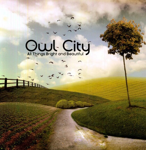 OWL CITY – ALL THINGS BRIGHT & BEAUTIFUL - LP •