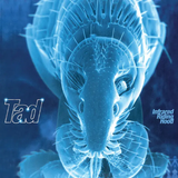 TAD – INFRARED RIDING HOOD (AQUA VINYL) (RSD24) - LP •