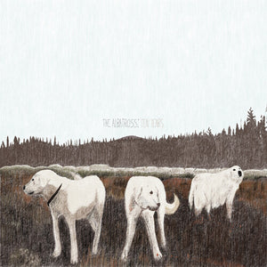 FOXING – ALBATROSS: TEN YEARS (BROWN VINYL) - LP •