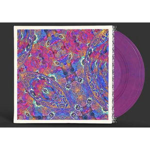 NINO,CARLOS & FRIENDS – PLACENTA (PLACENTAL PURPLE & BLUE MARBLE) - LP •