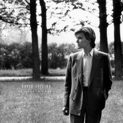 SYLVIAN,DAVID BRILLIANT TREES (OLIVE BLACK) LP – Lunchbox Records