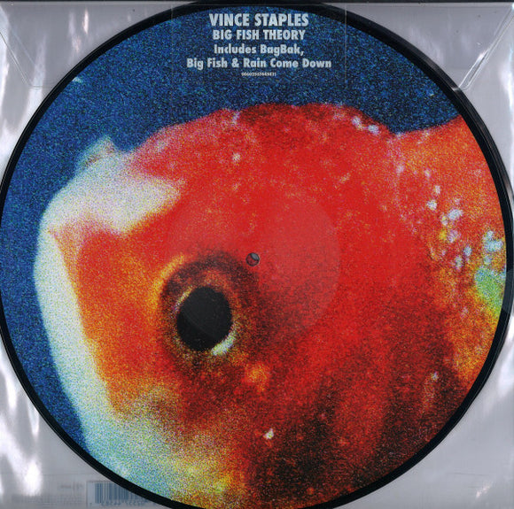 STAPLES,VINCE – BIG FISH THEORY (PICTURE DISC) - LP •