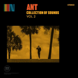 ANT – COLLECTION OF SOUNDS VOL.2 (YELLOW VINYL) - LP •