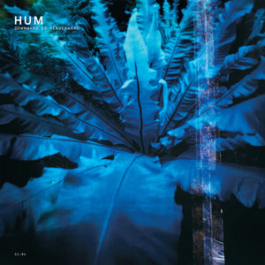 HUM – DOWNWARD IS HEAVENWARD (REISSUE) - CD •