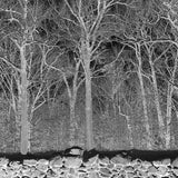 PILE – SUNSHINE & BALANCE BEAMS - TAPE •