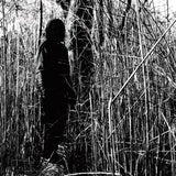 WOODS,BILLY – TODAY I WROTE NOTHING (10 YEAR ANNIVERSARY COKE BOTTLE CLEAR) - LP •