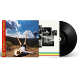 GEESE – 3D COUNTRY - LP •