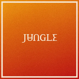 JUNGLE – VOLCANO - LP •