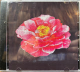 POST MALONE – TRIBUTE TO NIRVANA - CD •