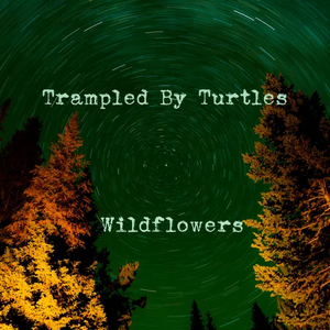 TRAMPLED BY TURTLES – WILDFLOWERS (RSD18) - 7" •