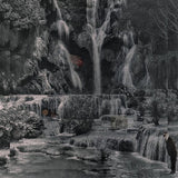 LAMBCHOP – PUNCHING THE CLOWN (INDIE EXCLUSIVE FROSTED CLEAR) - LP •