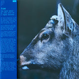 TOE – BOOK ABOUT MY IDLE PLOT ON A VAGUE ANXIETY (DEER GLISTEN BLUE VINYL) - LP •