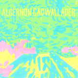 ALGERNON CADWALLADER – TRYING NOT TO HAVE A THOUGHT (INDIE EXCLUSIVE OPAQUE YELLOW) - LP •