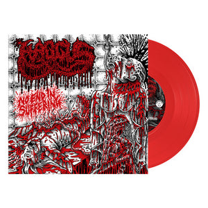 HAGGUS – NO END IN SUFFERING (RED VINYL) - 7" •