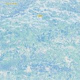 SPRAGUE,EMILY A. – CYANO (INDIE EXCLUSIVE SKY BLUE) - LP •