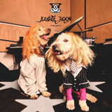 FROST CHILDREN – HEARTH ROOM (GOLD/SILVER) - LP •