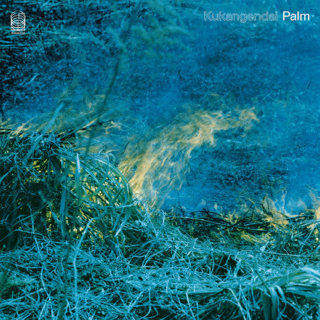 KUKANGENDAI – PALM - LP •