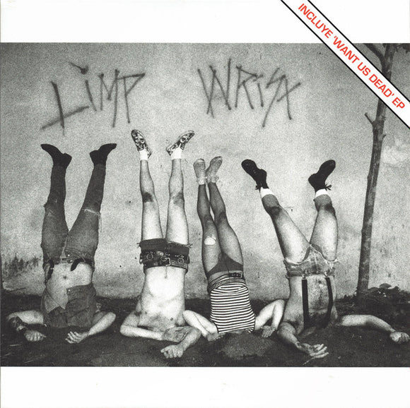 LIMP WRIST – 2009 / WANT US DEAD - LP •