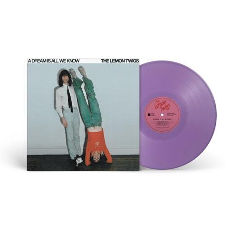 LEMON TWIGS – DREAM IS ALL WE KNOW (UBE PURPLE VINYL) - LP •