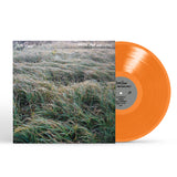 GUNN,STEVE – MUSIC FOR WRITERS (OPAQUE ORANGE) - LP •