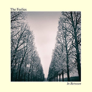 FEELIES – IN BETWEEN - CD •