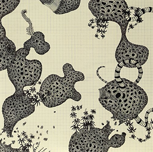 SHINS WINCING THE NIGHT AWAY LP - Main Image