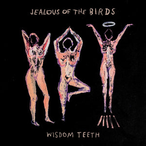 JEALOUS OF THE BIRDS – WISDOM TEETH - CD •