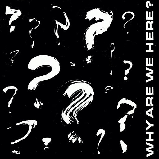 WHY ARE WE HERE / VARIOUS (EP) – RSD WHY ARE WE HERE / VARIOUS) - 7