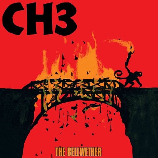CHANNEL 3 – RSD BELLWETHER - LP •