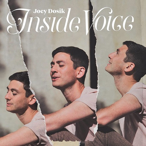 DOSIK,JOEY – INSIDE VOICE - CD •