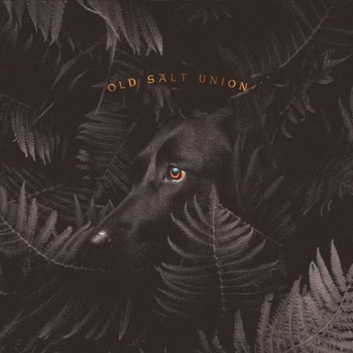 OLD SALT UNION – WHERE THE DOGS DON'T BITE - CD •