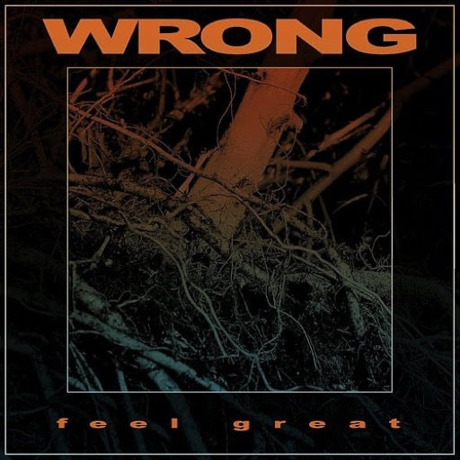 WRONG – FEEL GREAT - CD •
