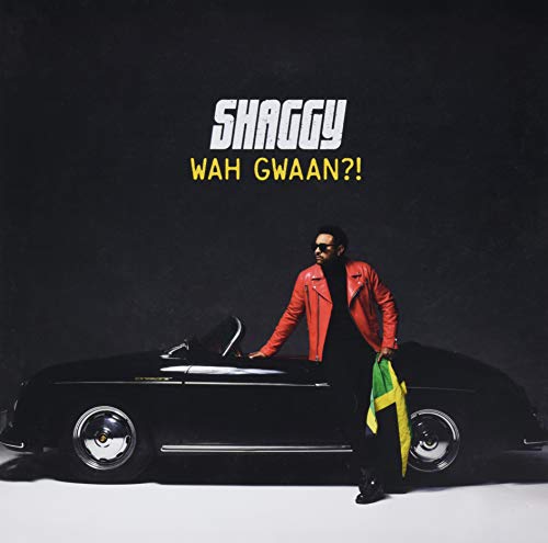 SHAGGY – SHAGGY - LP •