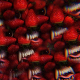 THEE OH SEES – FLOATING COFFIN - LP •