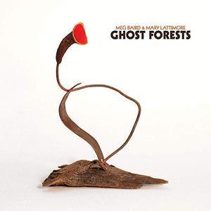 BAIRD,MEG / LATTIMORE,MARY – GHOST FORESTS  - CD •