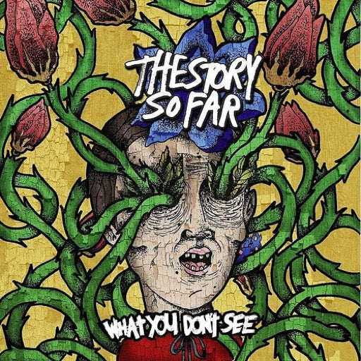 STORY SO FAR – WHAT YOU DON'T SEE - CD •