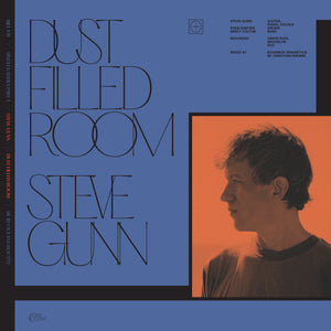 FAY,BILL & STEVE GUNN – DUST FILLED ROOM - 7" •
