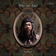 ROSS,JOEL – WHO ARE YOU (180 GRAM) - LP •
