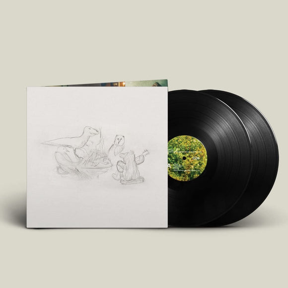 BIG THIEF – DRAGON NEW WARM MOUNTAIN I BELIEVE IN YOU - LP •