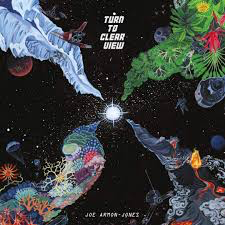 ARMON-JONES,JOE <br/> <small>TURN TO CLEAR VIEW (OFGV) (REISSUE)</small>