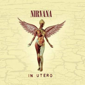 NIRVANA – IN UTERO (20TH ANNIVERSARY EDITION) - CD •